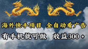(12175期)海外快手项目,利用工具全自动看广告,每天轻松 300+-网创之道