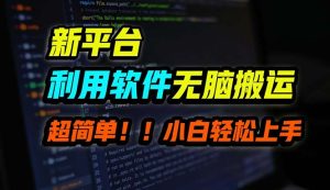 （12203期）B站平台用软件无脑搬运，月赚10000+，小白也能轻松上手-网创之道
