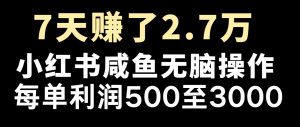 七天赚了2.7万！每单利润最少500+，轻松月入5万+小白有手就行-网创之道