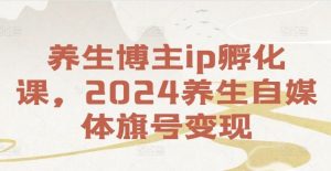 养生博主ip孵化课，2024养生自媒体旗号变现-网创之道