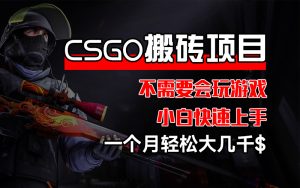 （12332期）CSGO 装备搬砖项目，操作简单，不需要会玩游戏，小白也能快速上手，一…-网创之道