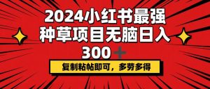 (12336期)2024小红书最强种草项目,无脑日入300+,复制粘帖即可,多劳多得-网创之道