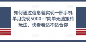 如何通过信息差实现一部手机单月变现5000+?简单无脑搬砖玩法,快看看适不适合你【揭秘】-网创之道