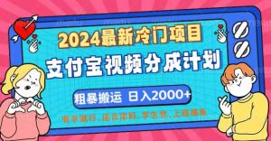 (12407期)2024最新冷门项目!支付宝视频分成计划,直接粗暴搬运,日入2000+,有…-网创之道