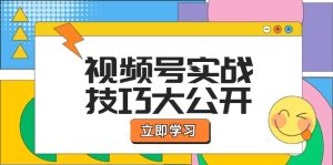视频号实战技巧大公开：选题拍摄、运营推广、直播带货一站式学习-网创之道
