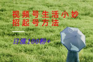 视频号生活小妙招分享赛道， 起号涨粉新方法，日涨100粉-网创之道