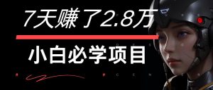 7天赚了2.8万！每单利润最少500+，轻松月入7万+小白有手就行-网创之道