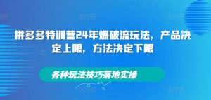 拼多多特训营24年爆破流玩法,产品决定上限,方法决定下限,各种玩法技巧落地实操-网创之道