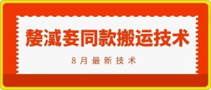 抖音96万粉丝账号【嫠㵄㚣】同款搬运技术-网创之道