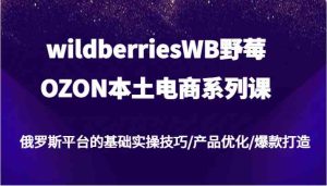 wildberriesWB野莓/OZON本土电商系列课，俄罗斯平台的基础实操技巧/产品优化/爆款打造-网创之道