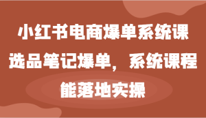 小红书电商爆单系统课-选品笔记爆单，系统课程，能落地实操-网创之道