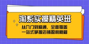 淘系实操精英班:从入门到精通,全面覆盖,一站式掌握店铺盈利秘籍-网创之道