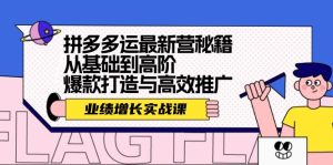 拼多多运最新营秘籍:业绩增长实战课,从基础到高阶,爆款打造与高效推广-网创之道