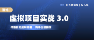 虚拟项目实操落地 3.0,新手轻松上手，单品月入1W+-网创之道