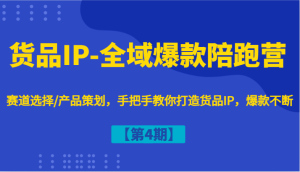货品IP-全域爆款陪跑营【第4期】赛道选择/产品策划，手把手教你打造货品IP，爆款不断-网创之道