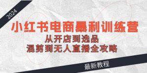 2024小红书电商暴利训练营:从开店到选品,混剪到无人直播全攻略-网创之道