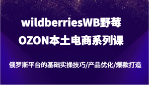 wildberriesWB野莓/OZON本土电商系列课,俄罗斯平台的基础实操技巧/产品优化/爆款打造-网创之道