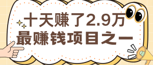 闲鱼小红书最赚钱项目之一,纯手机操作简单,小白必学轻松月入6万+-网创之道