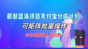 最新蓝海项目支付宝分成计划,可矩阵批量操作,小白也能月入五位数-网创之道