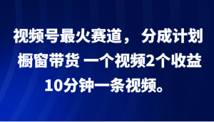 视频号最火赛道, 分成计划, 橱窗带货,一个视频2个收益,10分钟一条视频。-网创之道