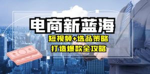 商家必看电商新蓝海：短视频+选品策略，打造爆款全攻略，月入10w+-网创之道