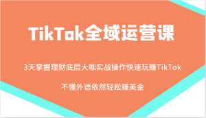 TikTok全域运营课，大咖实战操作快速玩赚TikTok，不懂外语依然轻松赚美金！-网创之道