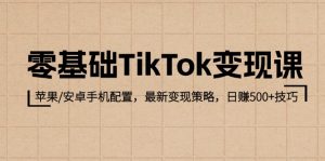 零基础TikTok变现课:苹果/安卓手机配置,最新变现策略,日赚500+技巧-网创之道