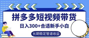 拼多多短视频带货日入300+,实操账户展示看就能学会-网创之道