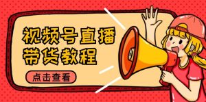 视频号直播带货教程:选品思路与话术拆解/掌握多种带货套路/提升直播效果-网创之道