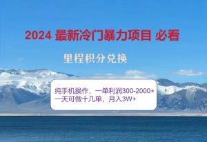 2024惊爆冷门暴利,里程积分最新玩法,高爆发期,一单300+—2000+-网创之道