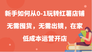 新手如何从0-1玩转红薯店铺，无需囤货，无需出镜，在家低成本运营开店-网创之道