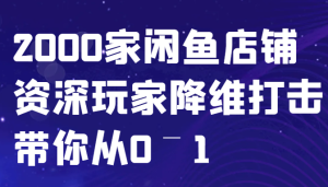 闲鱼已经饱和?纯扯淡!2000家闲鱼店铺资深玩家降维打击带你从0–1-网创之道