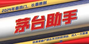 魔法贵州茅台代理,永不淘汰的项目,抛开传统玩法,使用科技,命中率极…-网创之道