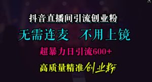 抖音直播间引流创业粉,无需连麦、无需上镜,超暴力日引流600+高质量精准创业粉-网创之道