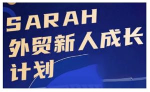 外贸新人成长计划,外贸新人学起来,偷偷让自己变强大-网创之道