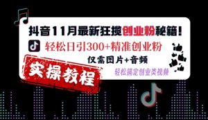 抖音11月最新狂揽创业粉秘籍,轻松日引300+精准创业粉,仅需图片+音频,轻松搞定创业类视频-网创之道