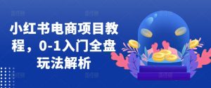 小红书电商项目教程，0-1入门全盘玩法解析-网创之道