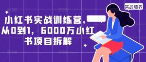 小红书实战训练营，从0到1，6000万小红书项目拆解-网创之道