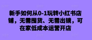 新手如何从0-1玩转小红书店铺，无需囤货、无需出镜，可在家低成本运营开店-网创之道