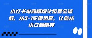 小红书电商精细化运营全流程,从0-1实操运营,让你从小白到精英-网创之道