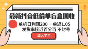 最新抖音低价单盲盒回收 一单1.05 单机日利润200 纯绿色不封号-网创之道