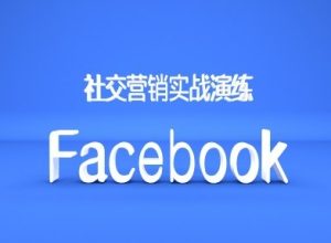 Facebook社交营销实战演练,外贸人绝对不能错过的营销推广平台-网创之道