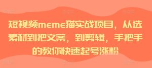 短视频meme猫实战项目,从选素材到把文案,到剪辑,手把手的教你快速起号涨粉-网创之道