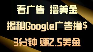 看广告,撸美金!3分钟赚2.5美金!日入200美金不是梦!揭秘Google广告…-网创之道