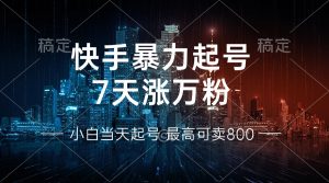 快手暴力起号,7天涨万粉,小白当天起号 多种变现方式,账号回收,单月…-网创之道