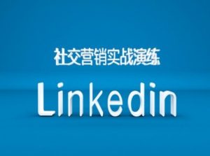社交营销实战演练之Linkedin营销课程,B2B跨境外贸的新出路-网创之道