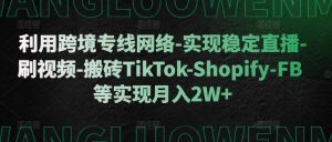 利用跨境专线网络-实现稳定直播-刷视频-搬砖TikTok-Shopify-FB等实现月入2W+-网创之道