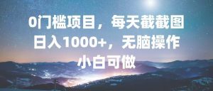 0门槛项目,每天截截图,日入1000+,轻松无脑,小白可做-网创之道