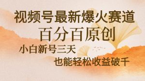 视频号最新爆火赛道,中老年粉深信不疑,百分百原创,新号三天收益轻松…-网创之道