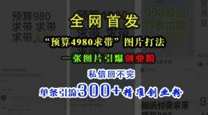 小红书“预算4980带我飞”图片打法,一张图片引爆创业粉,私信回不完,单条引流300+精准创业粉-网创之道